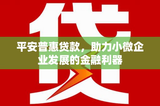 额济纳旗平安普惠贷款，助力小微企业发展的金融利器