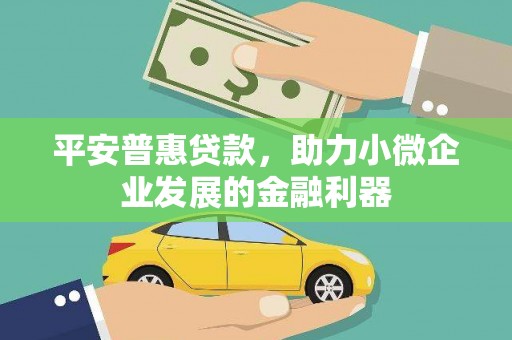 额济纳旗平安普惠贷款，助力小微企业发展的金融利器