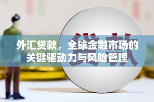 额济纳旗外汇贷款，全球金融市场的关键驱动力与风险管理
