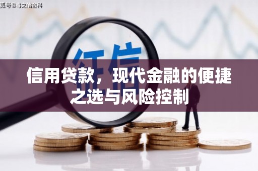 额济纳旗信用贷款，现代金融的便捷之选与风险控制