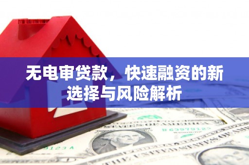额济纳旗无电审贷款，快速融资的新选择与风险解析