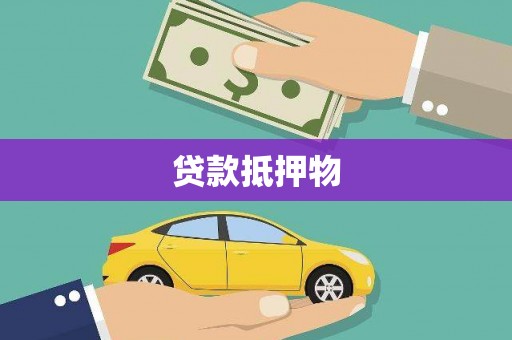 额济纳旗贷款抵押物
