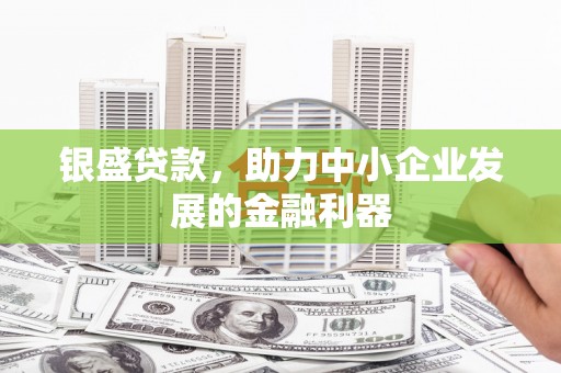 额济纳旗银盛贷款，助力中小企业发展的金融利器