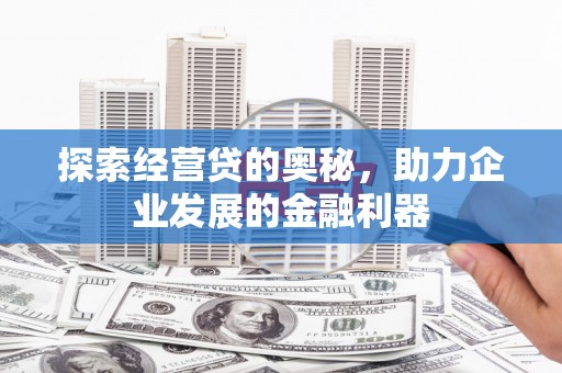 额济纳旗探索经营贷的奥秘，助力企业发展的金融利器