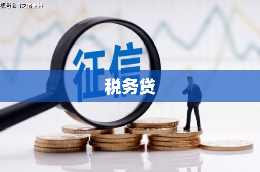 额济纳旗税务贷