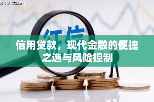 额济纳旗信用贷款，现代金融的便捷之选与风险控制