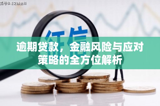 额济纳旗逾期贷款，金融风险与应对策略的全方位解析