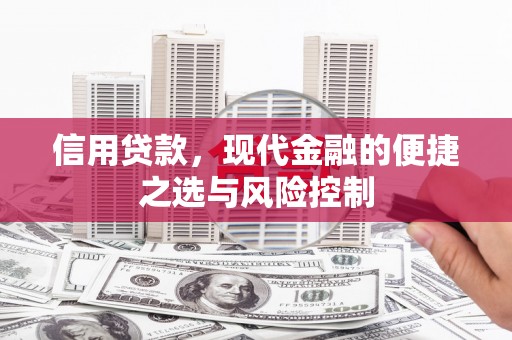 额济纳旗信用贷款，现代金融的便捷之选与风险控制