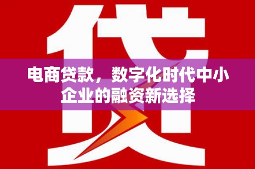 额济纳旗电商贷款，数字化时代中小企业的融资新选择