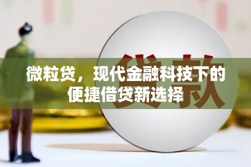 额济纳旗微粒贷，现代金融科技下的便捷借贷新选择