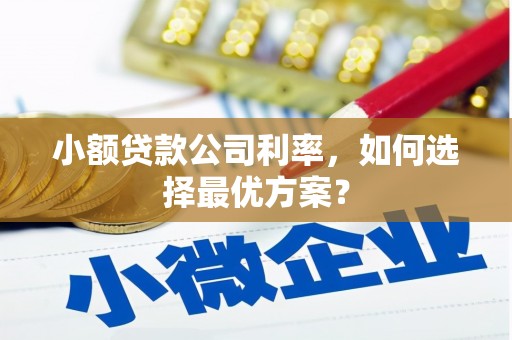 额济纳旗小额贷款公司利率，如何选择最优方案？