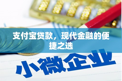 额济纳旗支付宝贷款，现代金融的便捷之选