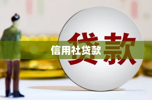 额济纳旗信用社贷款
