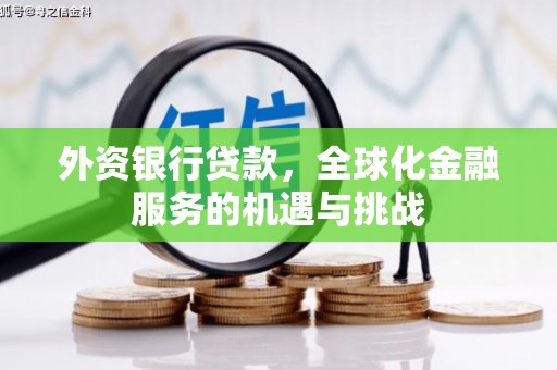 额济纳旗外资银行贷款，全球化金融服务的机遇与挑战
