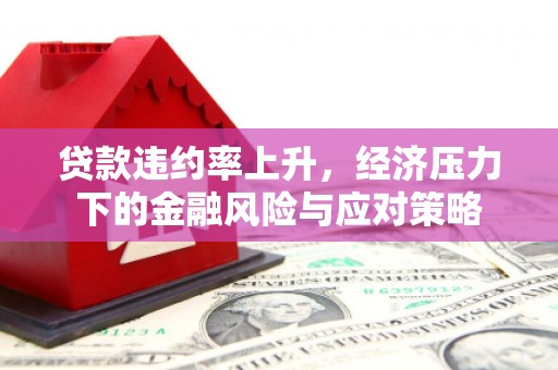 额济纳旗贷款违约率上升，经济压力下的金融风险与应对策略