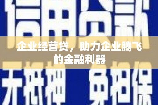额济纳旗企业经营贷，助力企业腾飞的金融利器