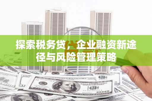 额济纳旗探索税务贷，企业融资新途径与风险管理策略