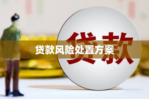 额济纳旗贷款风险处置方案