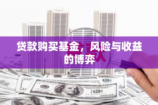 额济纳旗贷款购买基金，风险与收益的博弈