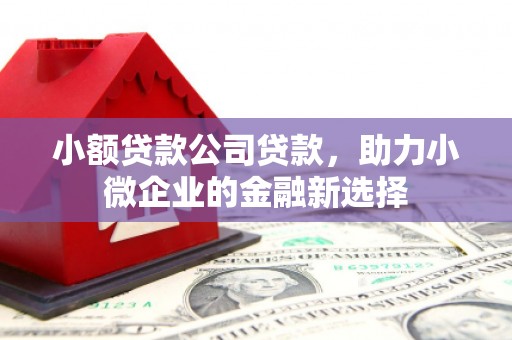 额济纳旗小额贷款公司贷款，助力小微企业的金融新选择