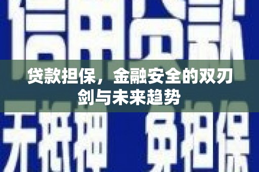 额济纳旗贷款担保，金融安全的双刃剑与未来趋势