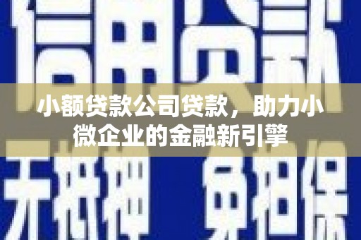额济纳旗小额贷款公司贷款，助力小微企业的金融新引擎