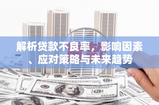 额济纳旗解析贷款不良率，影响因素、应对策略与未来趋势
