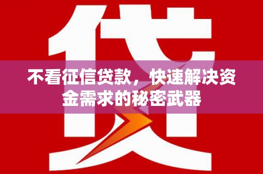 额济纳旗不看征信贷款，快速解决资金需求的秘密武器