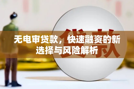 额济纳旗无电审贷款，快速融资的新选择与风险解析