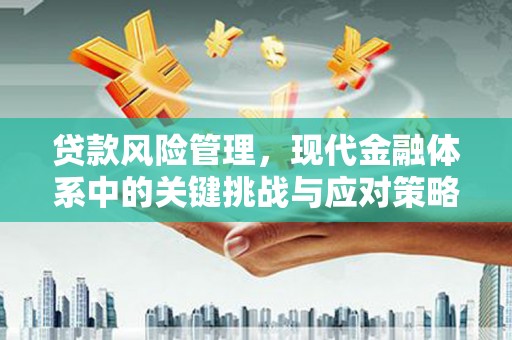 额济纳旗贷款风险管理，现代金融体系中的关键挑战与应对策略