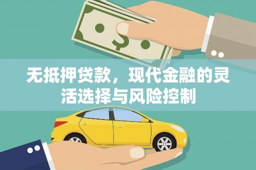额济纳旗无抵押贷款，现代金融的灵活选择与风险控制