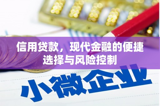 额济纳旗信用贷款，现代金融的便捷选择与风险控制