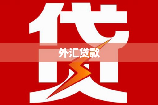额济纳旗外汇贷款