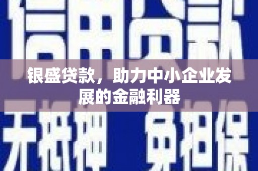 额济纳旗银盛贷款，助力中小企业发展的金融利器