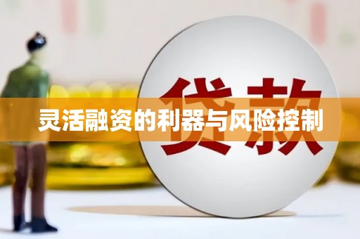 额济纳旗灵活融资的利器与风险控制