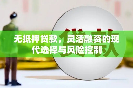 额济纳旗无抵押贷款，灵活融资的现代选择与风险控制