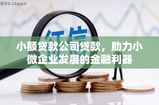 额济纳旗小额贷款公司贷款，助力小微企业发展的金融利器