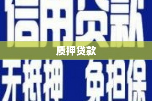 额济纳旗质押贷款