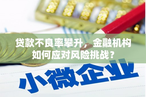 额济纳旗贷款不良率攀升，金融机构如何应对风险挑战？