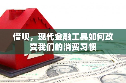 额济纳旗借呗，现代金融工具如何改变我们的消费习惯