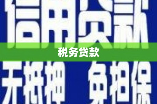 额济纳旗税务贷款