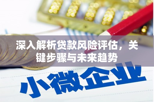 额济纳旗深入解析贷款风险评估，关键步骤与未来趋势