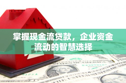 额济纳旗掌握现金流贷款，企业资金流动的智慧选择