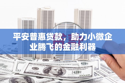 额济纳旗平安普惠贷款，助力小微企业腾飞的金融利器