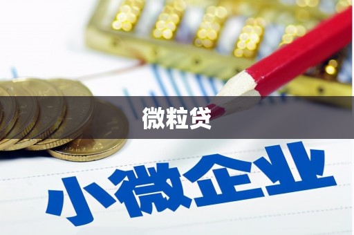 额济纳旗微粒贷