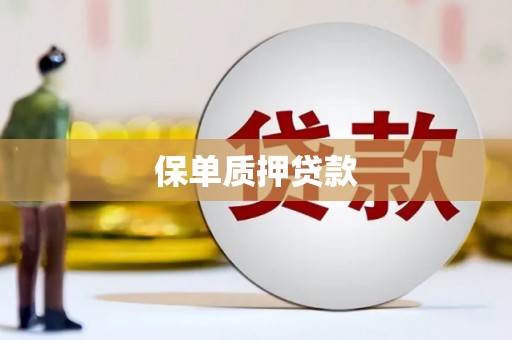 额济纳旗保单质押贷款