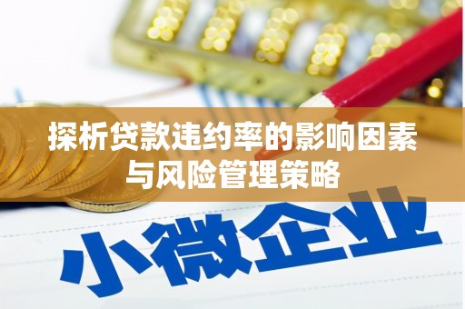 额济纳旗探析贷款违约率的影响因素与风险管理策略