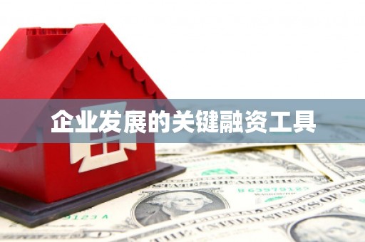 额济纳旗企业发展的关键融资工具