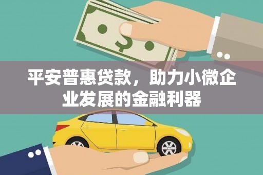 额济纳旗平安普惠贷款，助力小微企业发展的金融利器