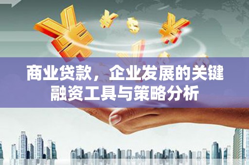 额济纳旗商业贷款，企业发展的关键融资工具与策略分析
